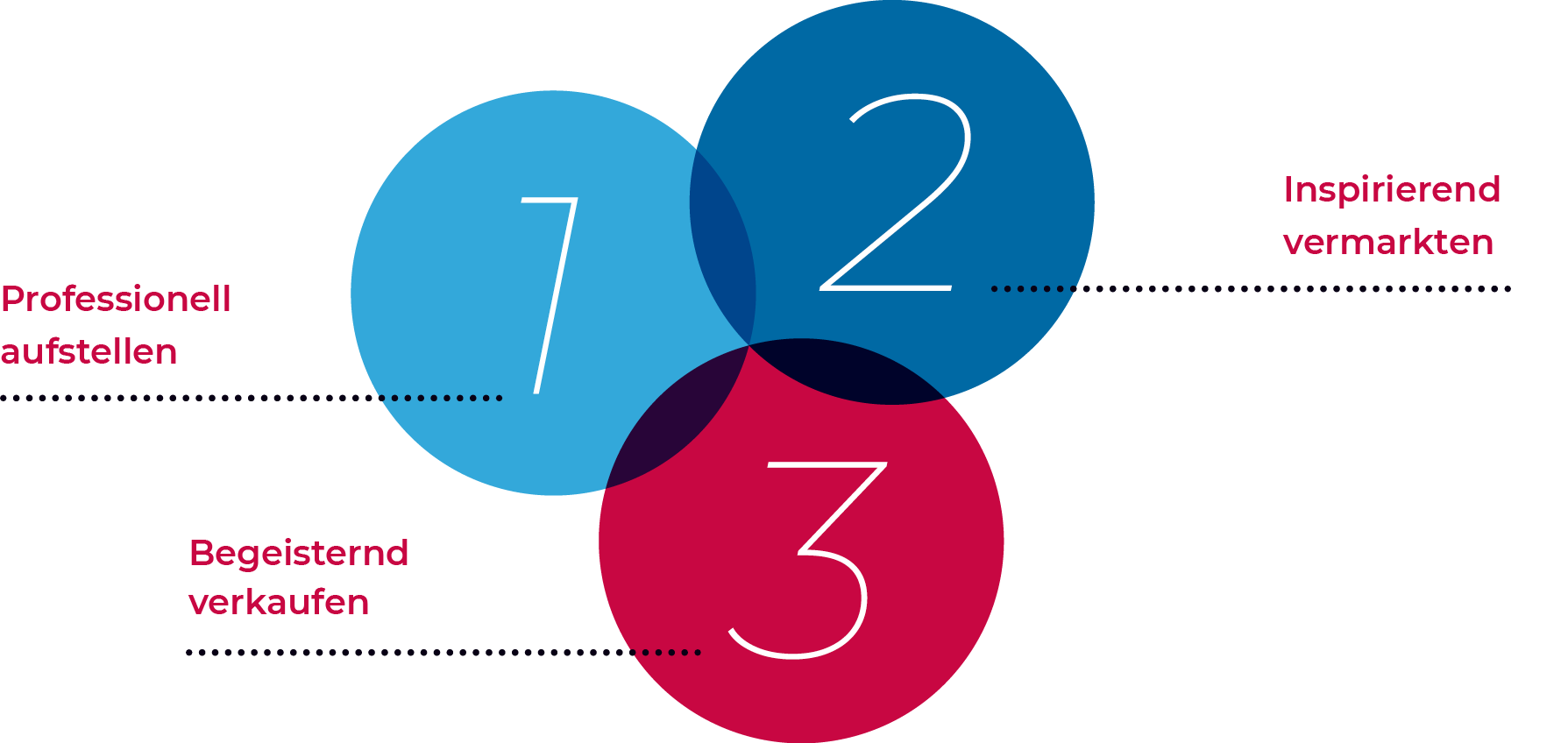 Diagramm mit dem Inhalt: Professionell aufstellen, Inspirierend vermarkten, Begeisternd verkaufen